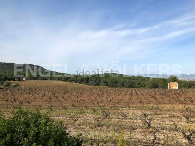 Terreno en venta en Alt Penedès, Catalunya