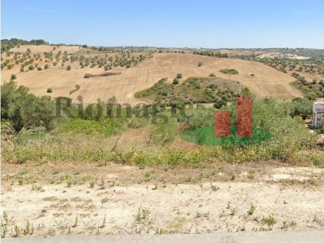 Terreno venda em Rio Maior, Santarém
