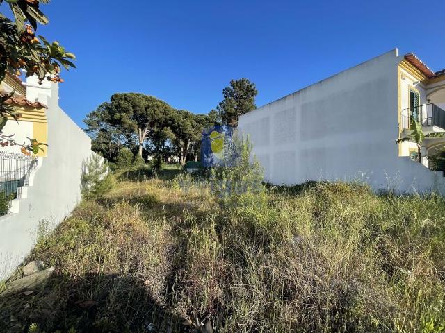 Terreno venda em Azeitão (São Lourenço e São Simão), Setúbal