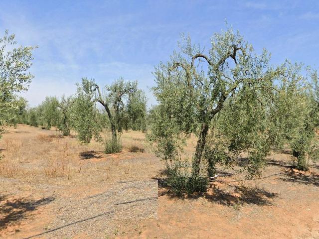 Terreno en venta en Benacazón, Sevilla