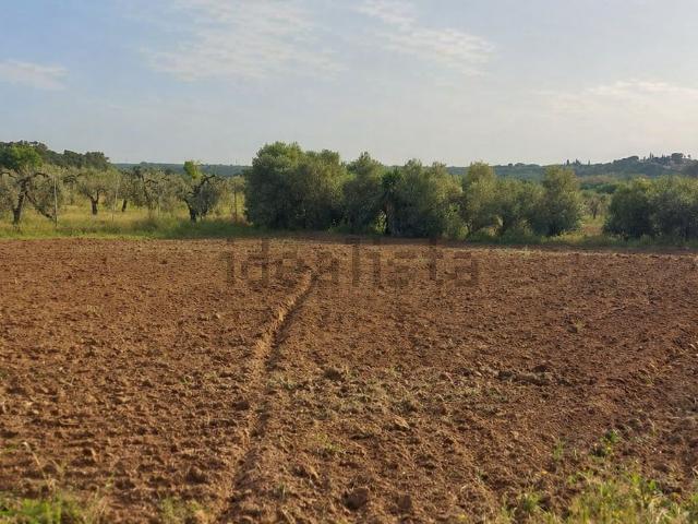Terreno en venta en Aznalcázar, Sevilla