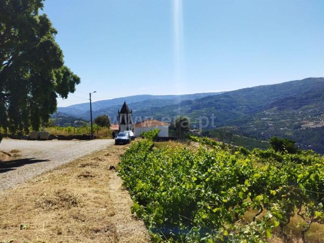 Terreno venda em Baião, Porto