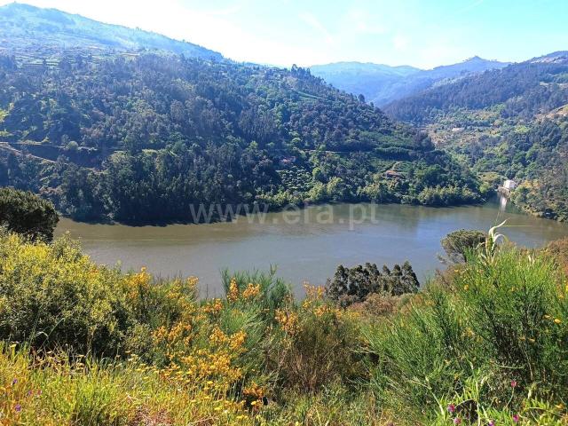 Terreno venda em Baião, Porto
