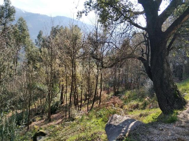 Terreno venda em Baião, Porto
