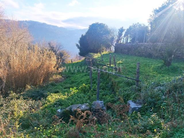 Terreno venda em Baião, Porto