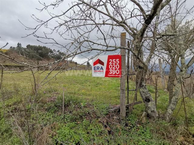 Terreno venda em Baião, Porto