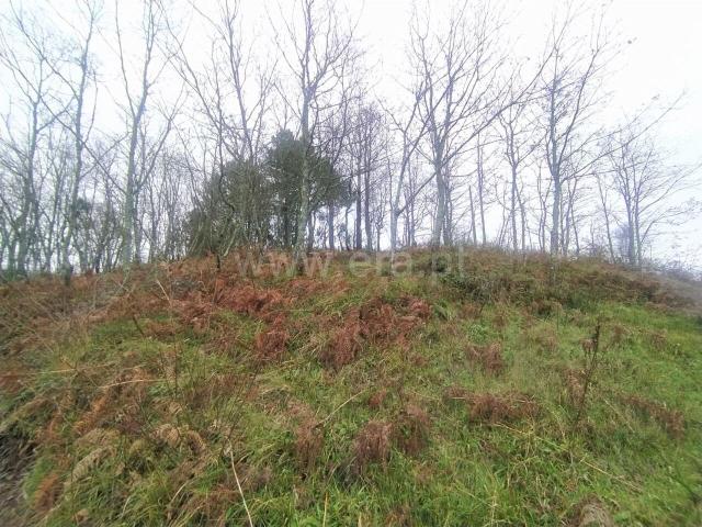 Terreno venda em Baião, Porto