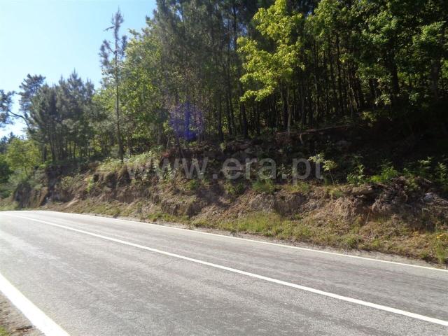 Terreno venda em Baião, Porto