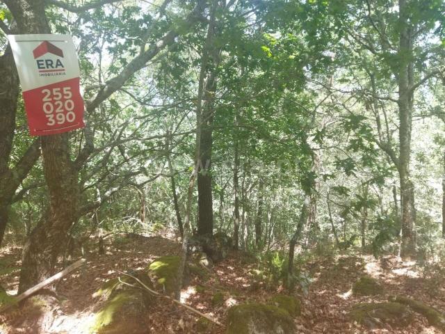 Terreno venda em Baião, Porto