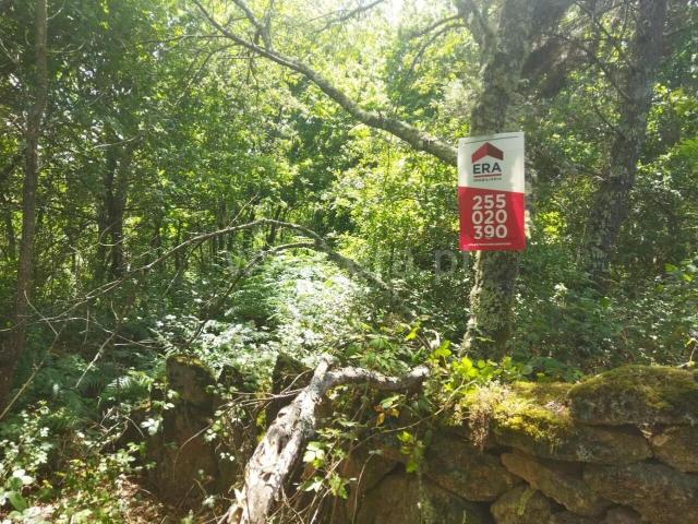 Terreno venda em Baião, Porto