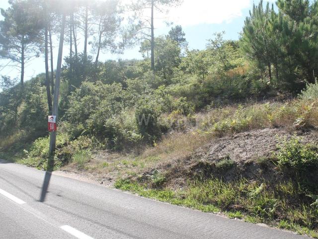 Terreno venda em Pedreda, Baião