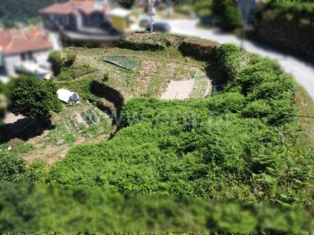 Terreno venda em Baião, Porto