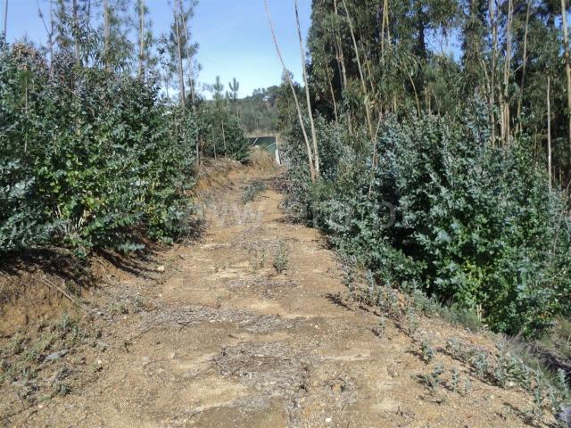 Terreno venda em Baião, Porto