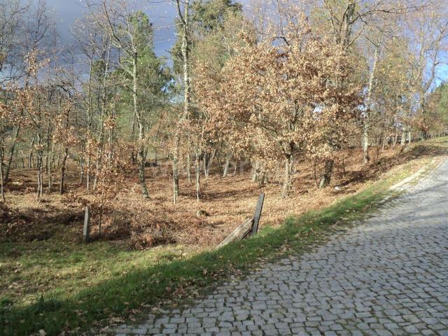 Terreno venda em Baião, Porto