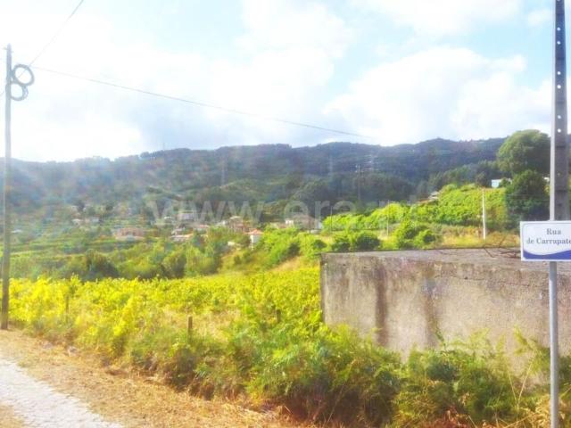 Terreno venda em Baião, Porto