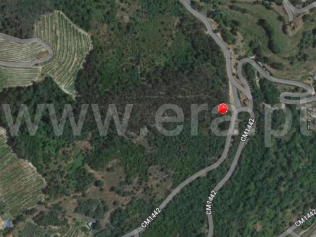 Terreno venda em Baião, Porto