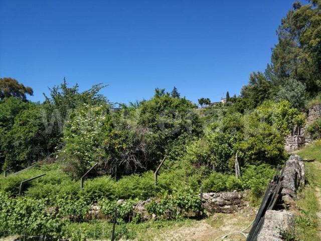 Terreno venda em Valongo, Porto