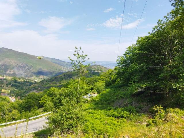 Terreno venda em Baião, Porto