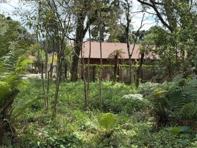 Terreno venda em Região Geográfica Imediata de Caxias do Sul, Canela