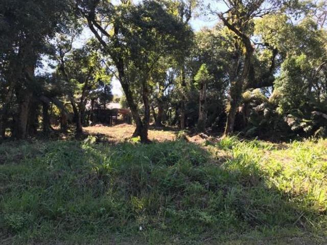 Terreno venda em Região Geográfica Imediata de Caxias do Sul, Canela