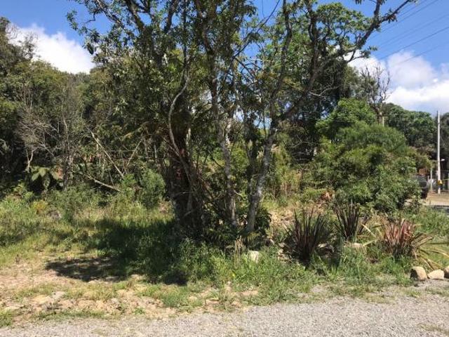 Terreno venda em Canela