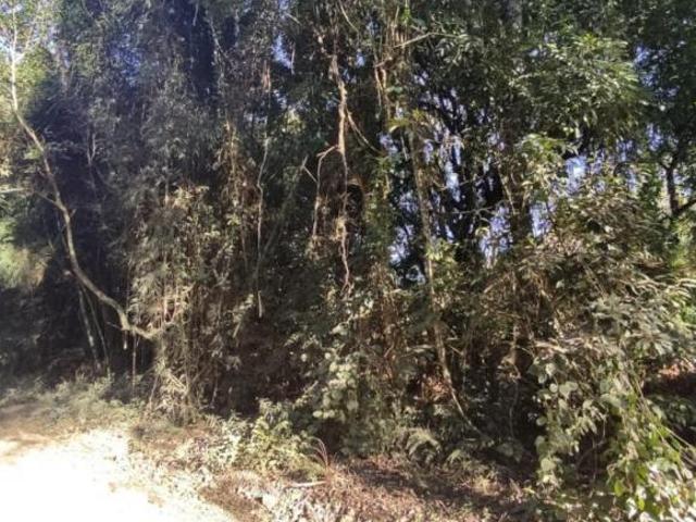 Terreno venda em Região Geográfica Imediata de Caxias do Sul, Canela