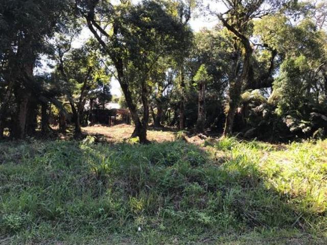 Terreno venda em Região Geográfica Imediata de Caxias do Sul, Canela