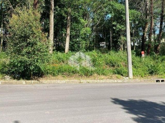 Terreno venda em Região Geográfica Imediata de Caxias do Sul, Farroupilha
