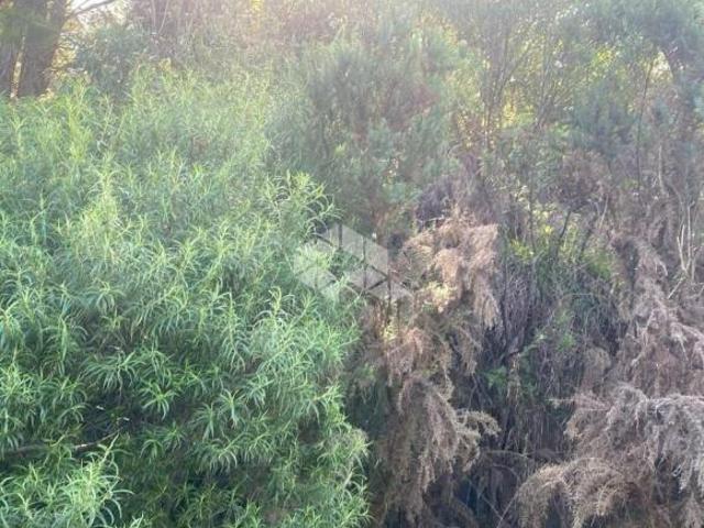 Terreno venda em Região Geográfica Imediata de Caxias do Sul, Farroupilha