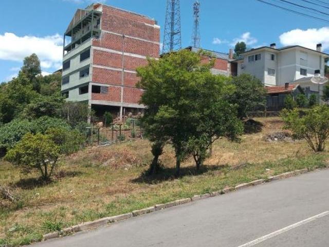 Terreno venda em Região Geográfica Imediata de Caxias do Sul, Flores da Cunha