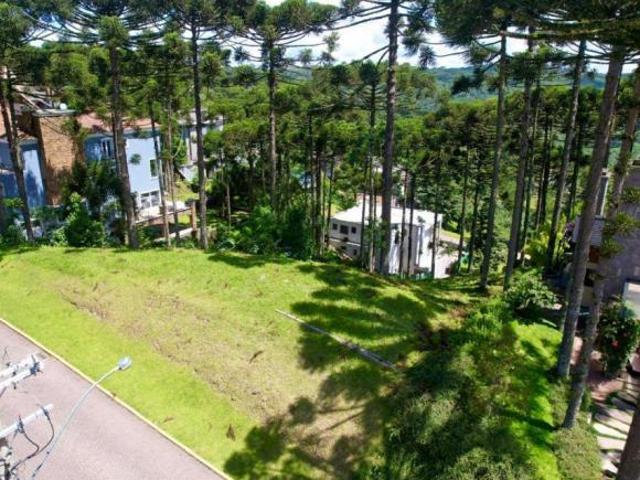 Terreno venda em Gramado