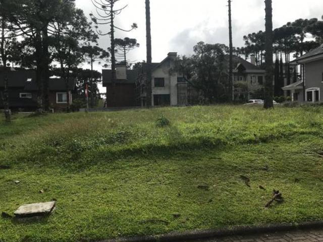 Terreno venda em Gramado