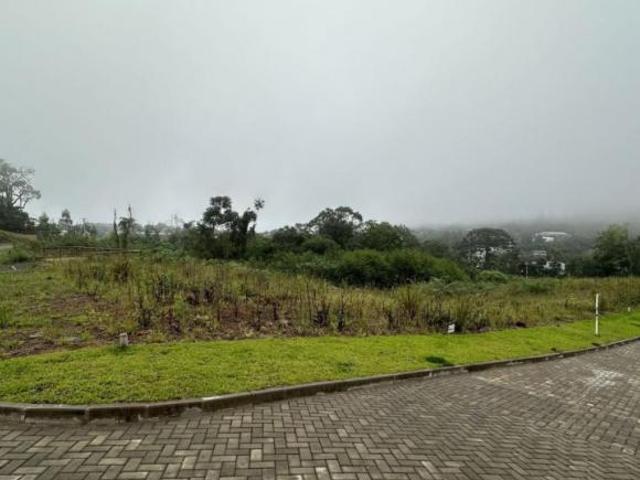 Terreno venda em Região Geográfica Imediata de Caxias do Sul, Gramado