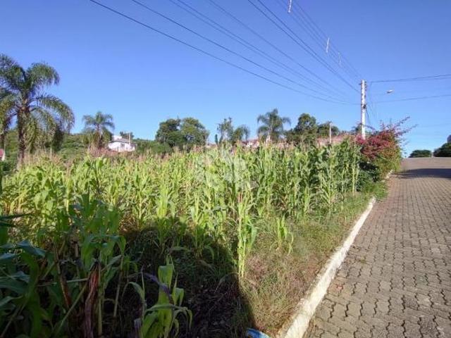 Terreno venda em Região Geográfica Imediata de Novo Hamburgo - São Leopoldo, Lindolfo Collor