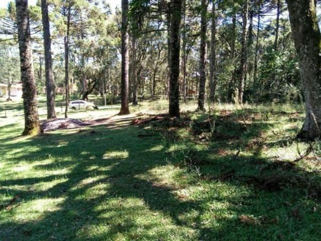 Terreno venda em Região Geográfica Imediata de Caxias do Sul, Gramado
