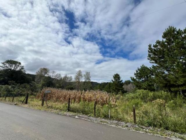 Terreno venda em Gramado
