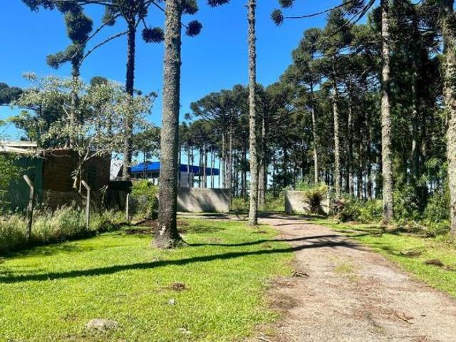 Terreno venda em Gramado