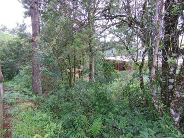 Terreno venda em Condomínio Vivendas do Arvoredo I, Gramado