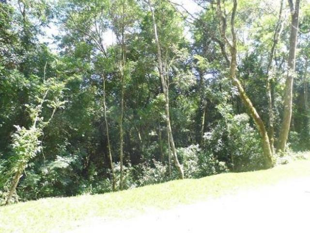 Terreno venda em Região Geográfica Imediata de Caxias do Sul, Gramado
