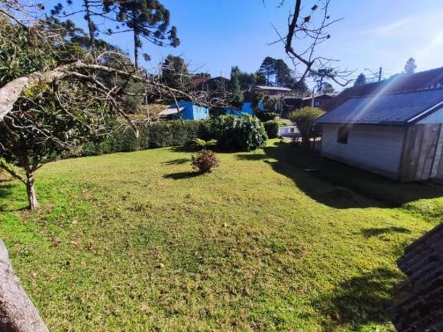 Terreno venda em Canela