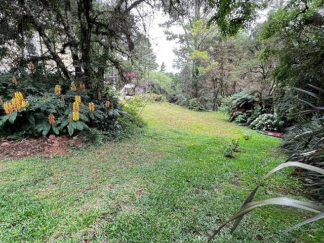 Terreno venda em Região Geográfica Imediata de Caxias do Sul, Canela
