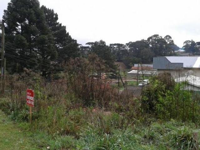 Terreno venda em Gramado