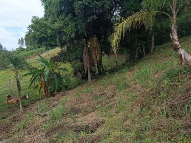 Terreno venda em Picada Café