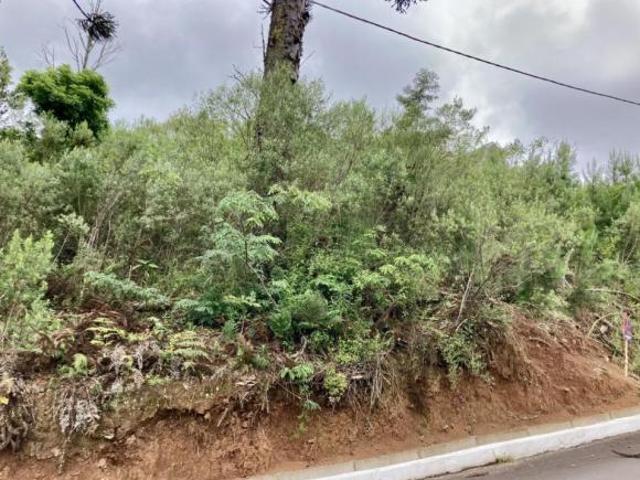 Terreno venda em Gramado