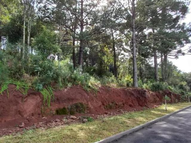 Terreno venda em Região Geográfica Imediata de Caxias do Sul, Gramado