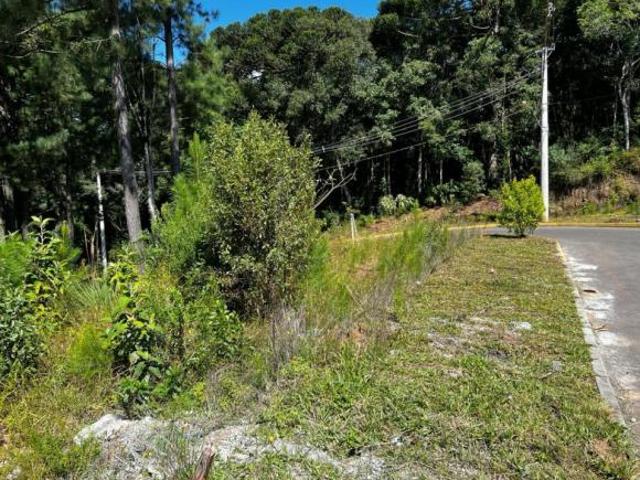 Terreno venda em Região Geográfica Imediata de Caxias do Sul, Gramado