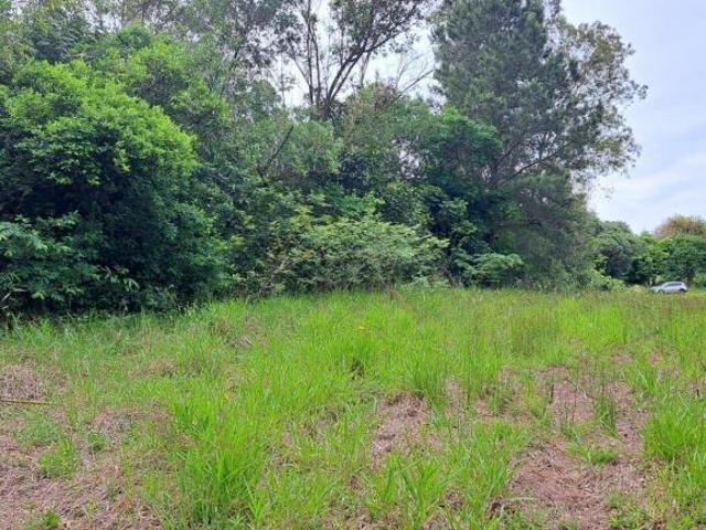 Terreno venda em Região Geográfica Imediata de Porto Alegre, Região Metropolitana de Porto Alegre