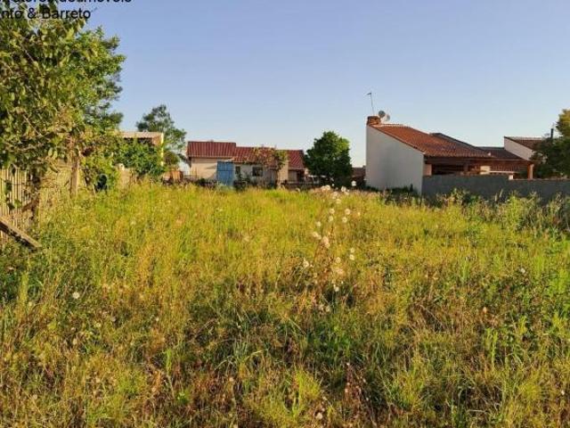 Terreno venda em Região Geográfica Imediata de Montenegro, Região Metropolitana de Porto Alegre