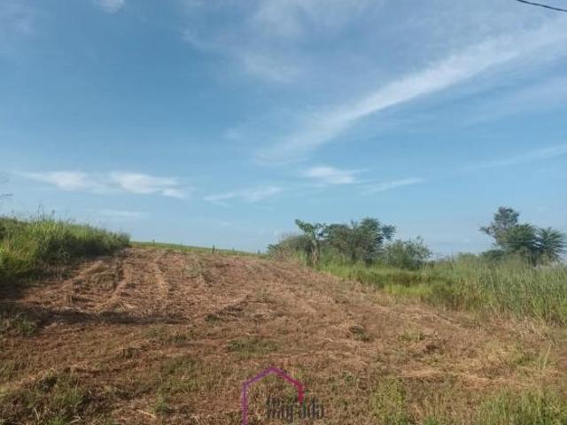 Terreno venda em Região Imediata de Catanduva, Tabapuã