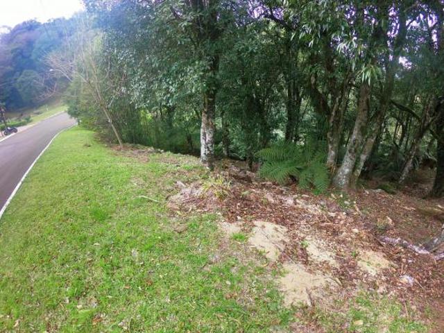 Terreno venda em Residencial Lagos de Gramado, Gramado